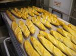 K-Market electric deck ovens