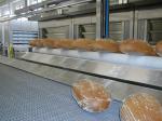 Modular conveyor 