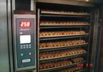 THERMOMAX thermo-oil rack oven